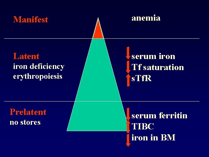 Manifest anemia Latent serum iron Tf saturation s. Tf. R iron deficiency erythropoiesis Prelatent