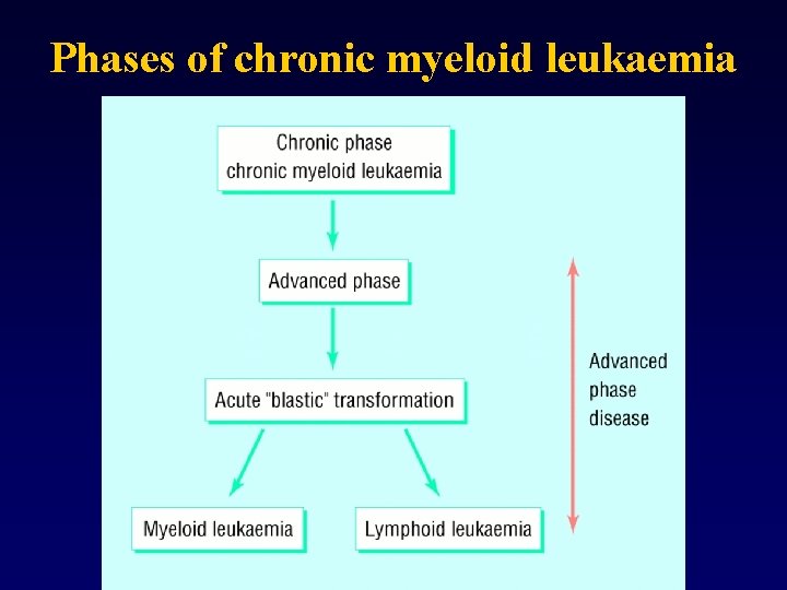 Phases of chronic myeloid leukaemia 