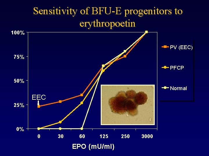 Sensitivity of BFU-E progenitors to erythropoetin 100% PV (EEC) 75% PFCP 50% Normal EEC