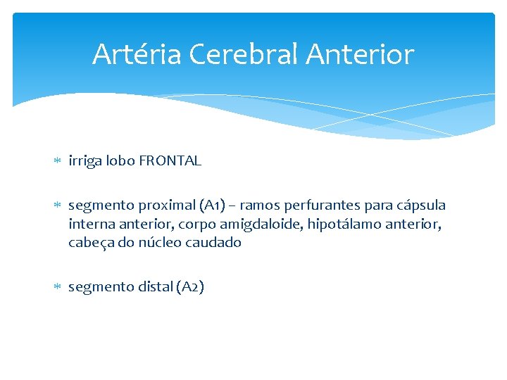 Artéria Cerebral Anterior irriga lobo FRONTAL segmento proximal (A 1) – ramos perfurantes para