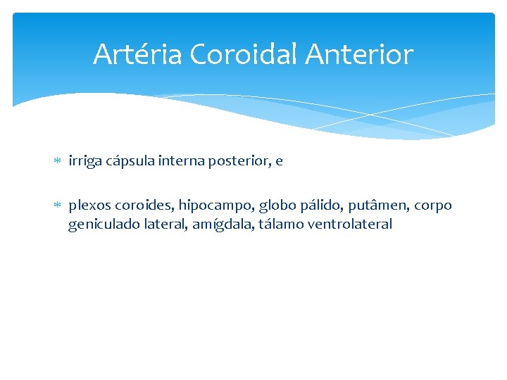 Artéria Coroidal Anterior irriga cápsula interna posterior, e plexos coroides, hipocampo, globo pálido, putâmen,