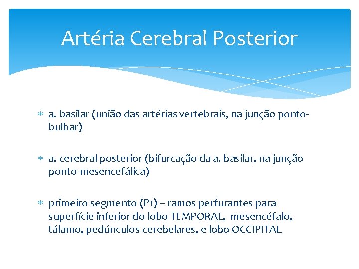 Artéria Cerebral Posterior a. basilar (união das artérias vertebrais, na junção pontobulbar) a. cerebral