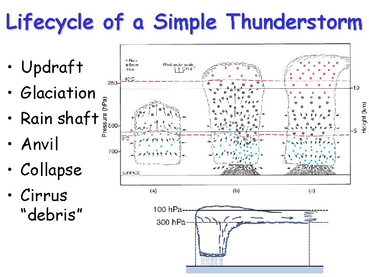 Lifecycle of a Simple Thunderstorm • Updraft • Glaciation • Rain shaft • Anvil