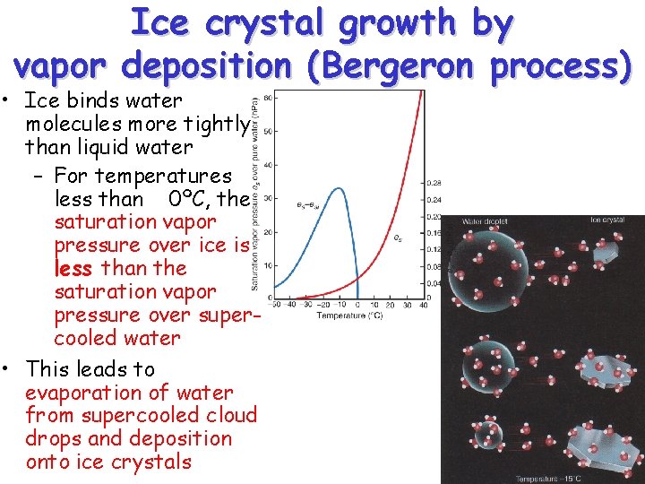 Ice crystal growth by vapor deposition (Bergeron process) • Ice binds water molecules more