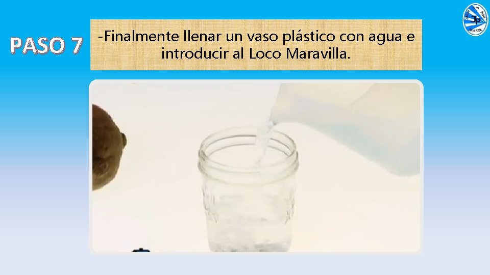 PASO 7 -Finalmente llenar un vaso plástico con agua e introducir al Loco Maravilla.