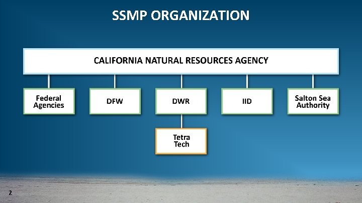 SSMP ORGANIZATION 2 