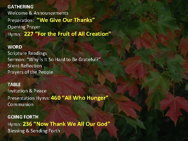 GATHERING Welcome & Announcements Preparation: “We Give Our Thanks” Opening Prayer Hymn: 227 “For