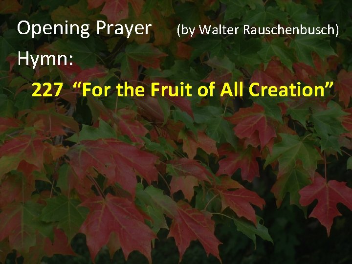 Opening Prayer (by Walter Rauschenbusch) Hymn: 227 “For the Fruit of All Creation” 