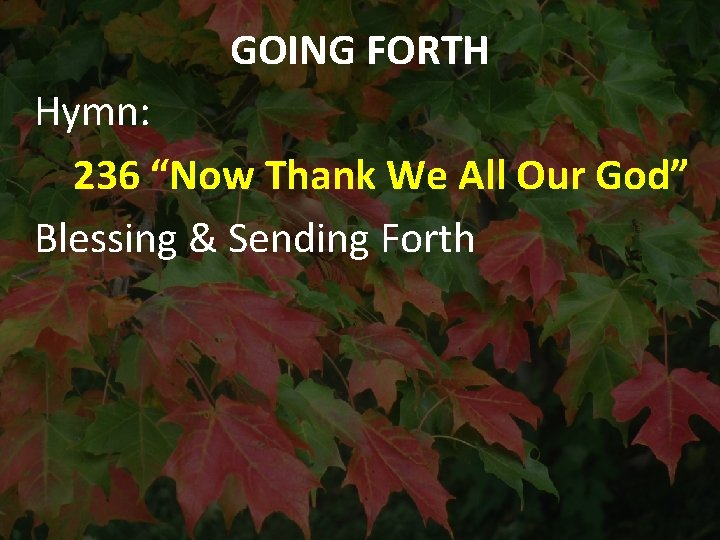 GOING FORTH Hymn: 236 “Now Thank We All Our God” Blessing & Sending Forth