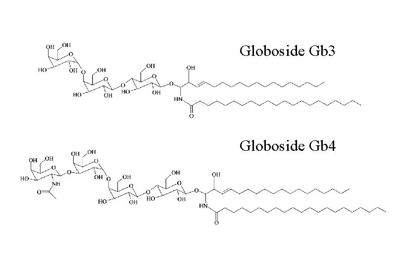 Globoside Gb 3 Globoside Gb 4 