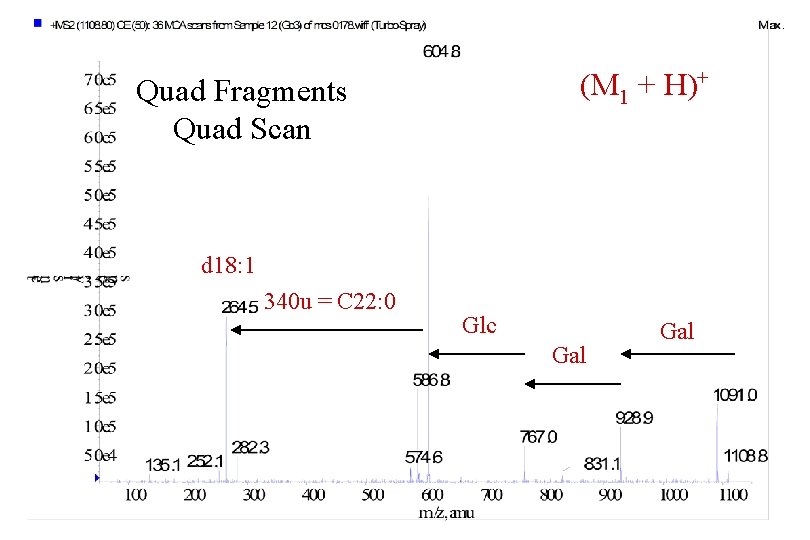 (M 1 + H)+ Quad Fragments Quad Scan d 18: 1 340 u =