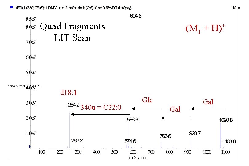 Quad Fragments LIT Scan d 18: 1 340 u = C 22: 0 (M