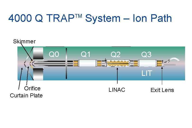 4000 Q TRAP System – Ion Path TM Skimmer Q 0 Q 1 Q