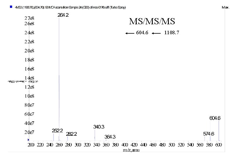 MS/MS/MS 604. 6 1108. 7 