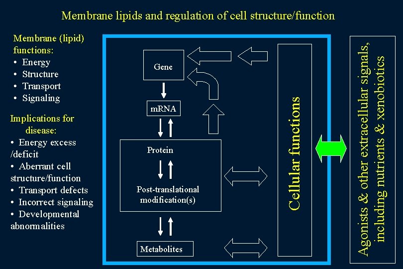 Implications for disease: • Energy excess /deficit • Aberrant cell structure/function • Transport defects