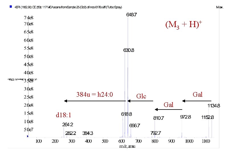 (M 3 + H)+ 384 u = h 24: 0 Gal Glc Gal d