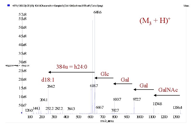 (M 3 + H)+ 384 u = h 24: 0 d 18: 1 Glc