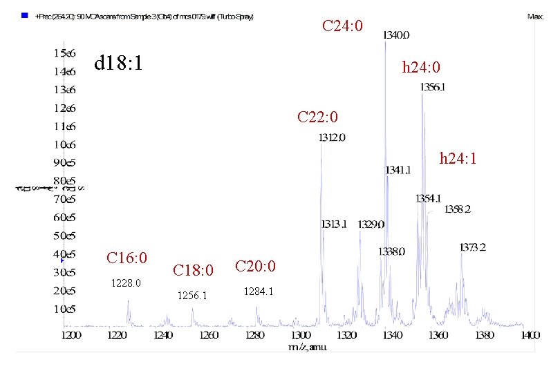 C 24: 0 d 18: 1 h 24: 0 C 22: 0 h 24: