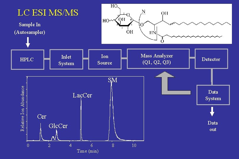 LC ESI MS/MS Sample In (Autosampler) Mass Analyzer (Q 1, Q 2, Q 3)
