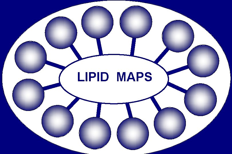 LIPID MAPS 