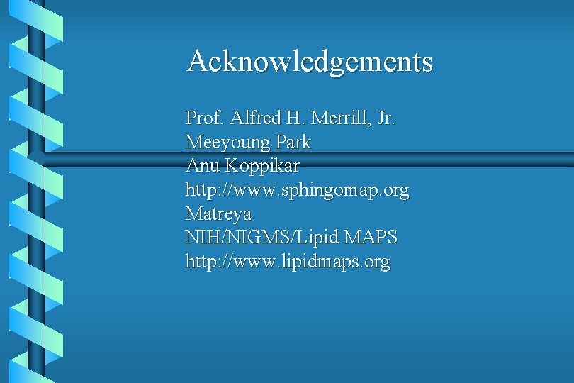 Acknowledgements Prof. Alfred H. Merrill, Jr. Meeyoung Park Anu Koppikar http: //www. sphingomap. org