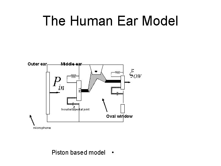 The Human Ear Model Outer ear Middle ear TM Incudostapedial joint Oval window microphone