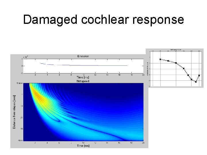 Damaged cochlear response 