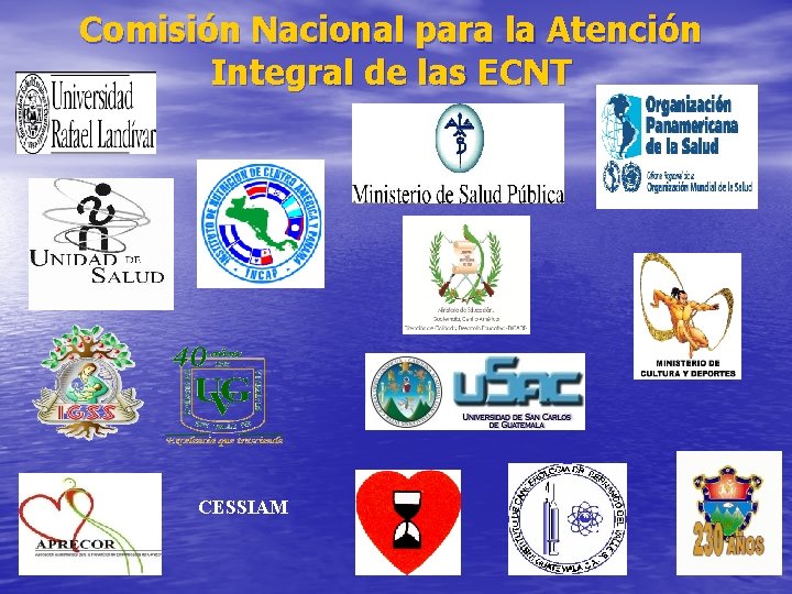 Comisión Nacional para la Atención Integral de las ECNT CESSIAM 