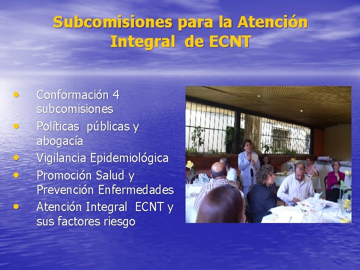 Subcomisiones para la Atención Integral de ECNT • • • Conformación 4 subcomisiones Políticas