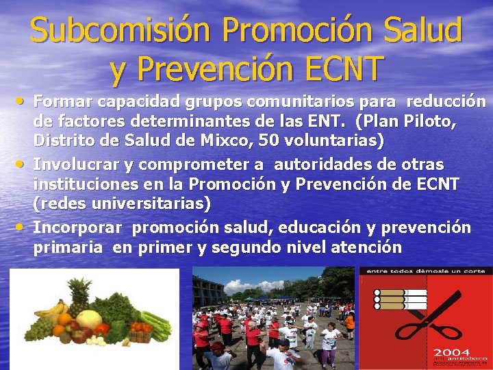 Subcomisión Promoción Salud y Prevención ECNT • Formar capacidad grupos comunitarios para reducción •