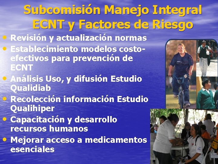 Subcomisión Manejo Integral ECNT y Factores de Riesgo • Revisión y actualización normas •