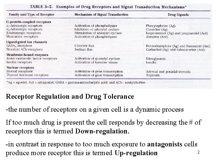Receptor Regulation and Drug Tolerance -the number of receptors on a given cell is Receptor Regulation and Drug Tolerance -the number of receptors on a given cell is