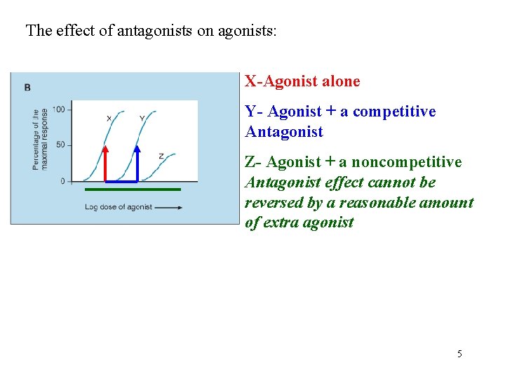 The effect of antagonists on agonists: X-Agonist alone Y- Agonist + a competitive Antagonist The effect of antagonists on agonists: X-Agonist alone Y- Agonist + a competitive Antagonist