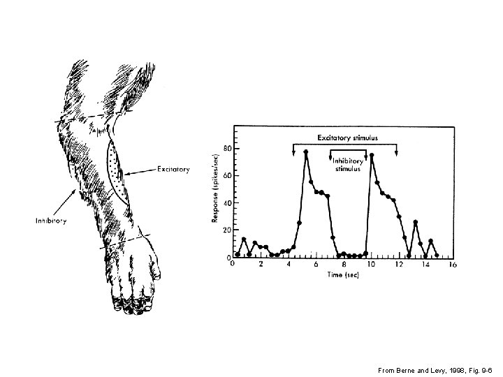From Berne and Levy, 1998, Fig. 9 -6 