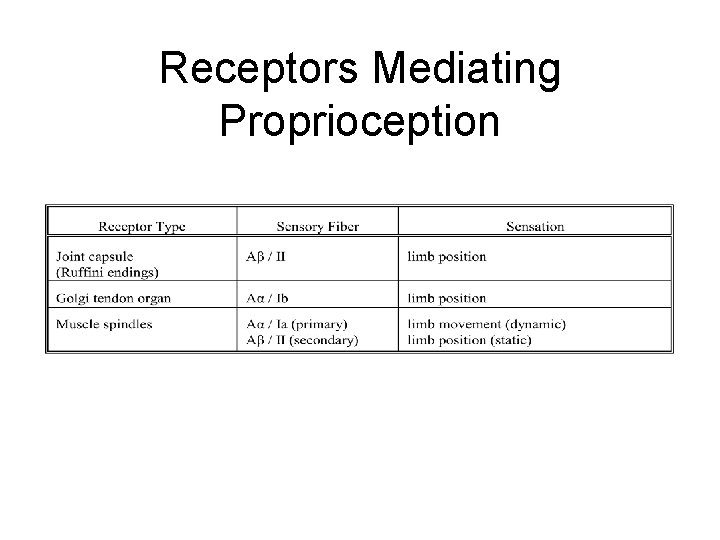 Receptors Mediating Proprioception 