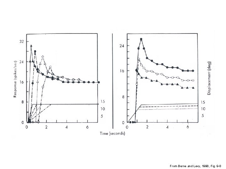 From Berne and Levy, 1998, Fig. 9 -8 