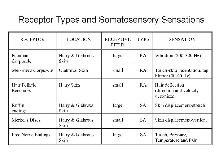 Receptor Types and Somatosensory Sensations 