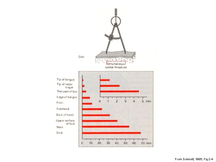 From Schmidt, 1985, Fig 2 -4 