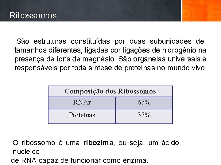 Ribossomos São estruturas constituídas por duas subunidades de tamanhos diferentes, ligadas por ligações de