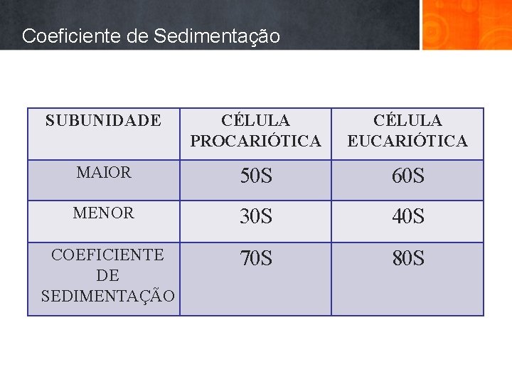 Coeficiente de Sedimentação SUBUNIDADE CÉLULA PROCARIÓTICA CÉLULA EUCARIÓTICA MAIOR 50 S 60 S MENOR