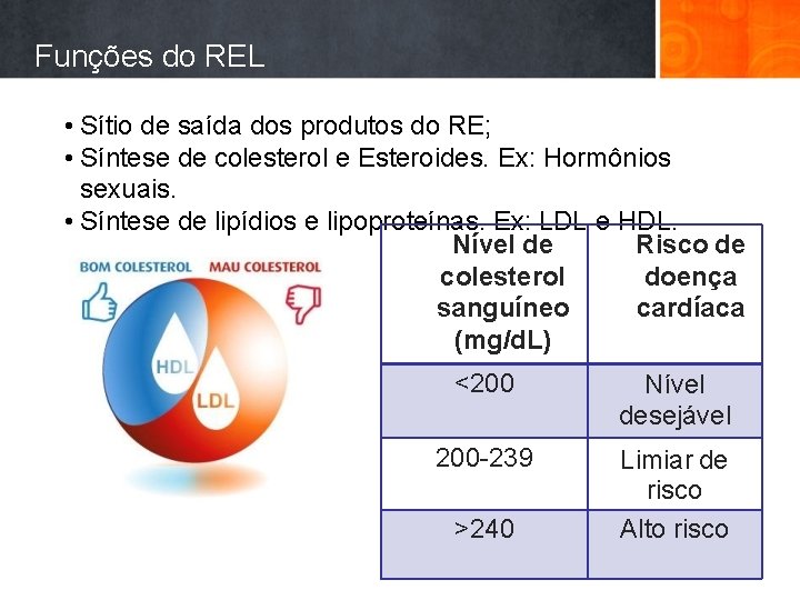 Funções do REL • Sítio de saída dos produtos do RE; • Síntese de