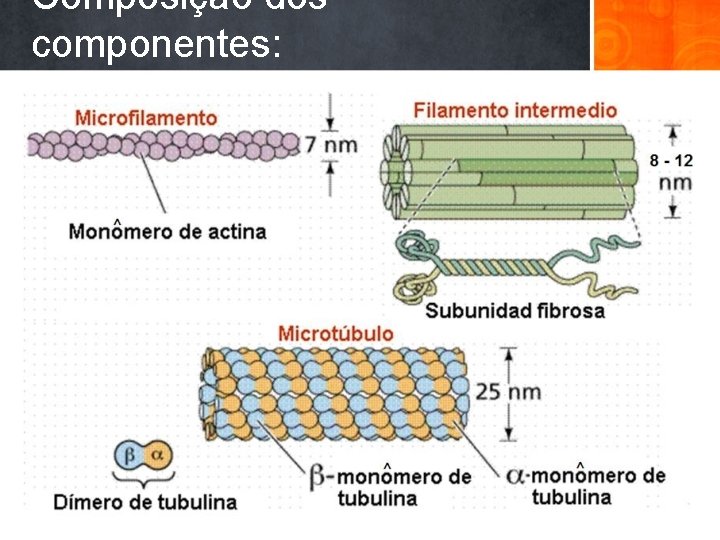 Composição dos componentes: 