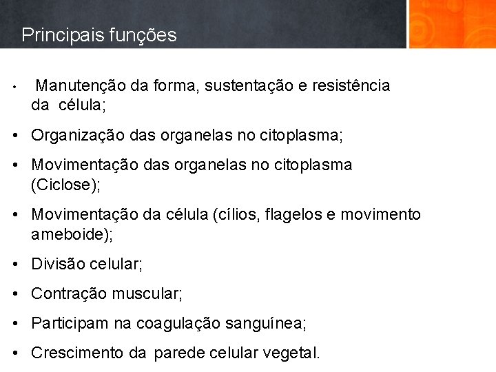 Principais funções • Manutenção da forma, sustentação e resistência da célula; • Organização das