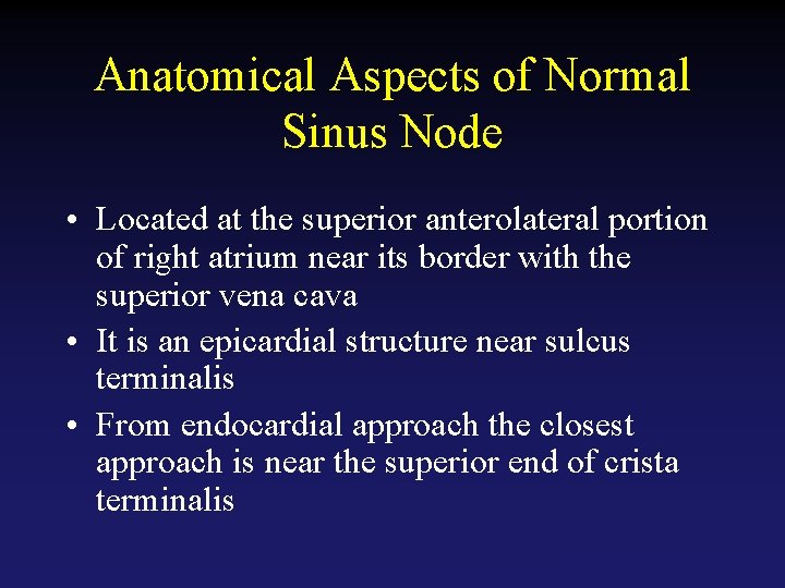 Anatomical Aspects of Normal Sinus Node • Located at the superior anterolateral portion of