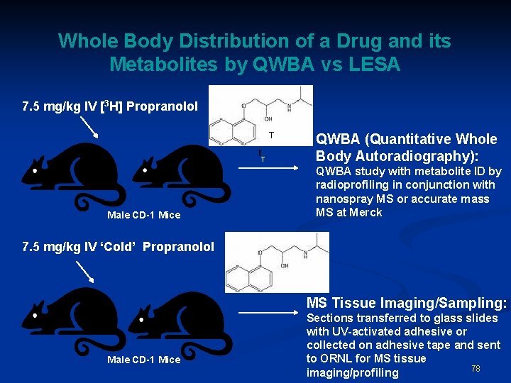 Whole Body Distribution of a Drug and its Metabolites by QWBA vs LESA 7.