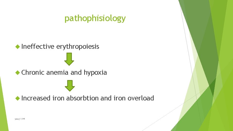 pathophisiology Ineffective Chronic anemia and hypoxia Increased yasuj 1394 erythropoiesis iron absorbtion and iron