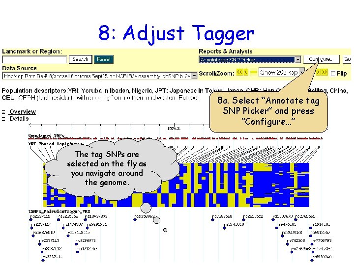 8: Adjust Tagger 8 a. Select “Annotate tag SNP Picker” and press “Configure…” The