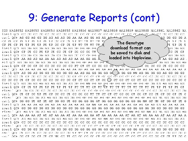 9: Generate Reports (cont) The Genotype download format can be saved to disk and