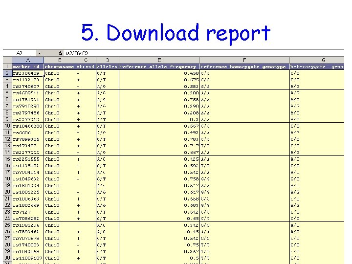 5. Download report 