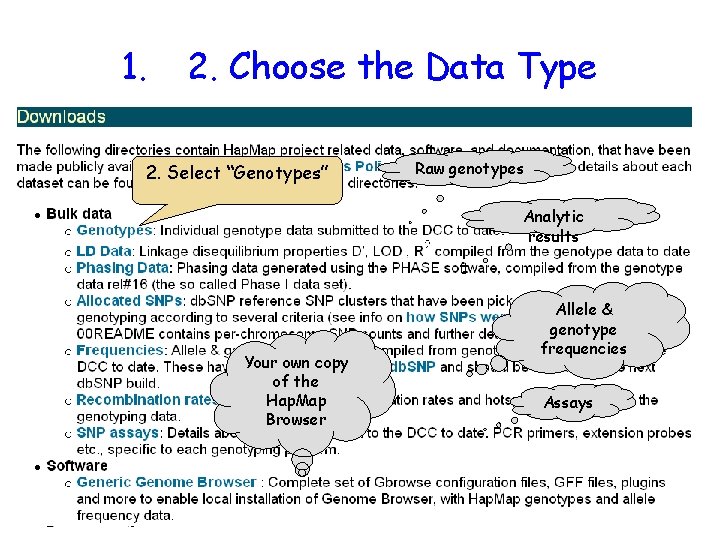 1. 2. Choose the Data Type 2. Select “Genotypes” Raw genotypes Analytic results Your